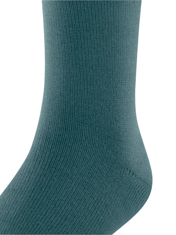 FALKE Socks 'Comfort Wool' in Green
