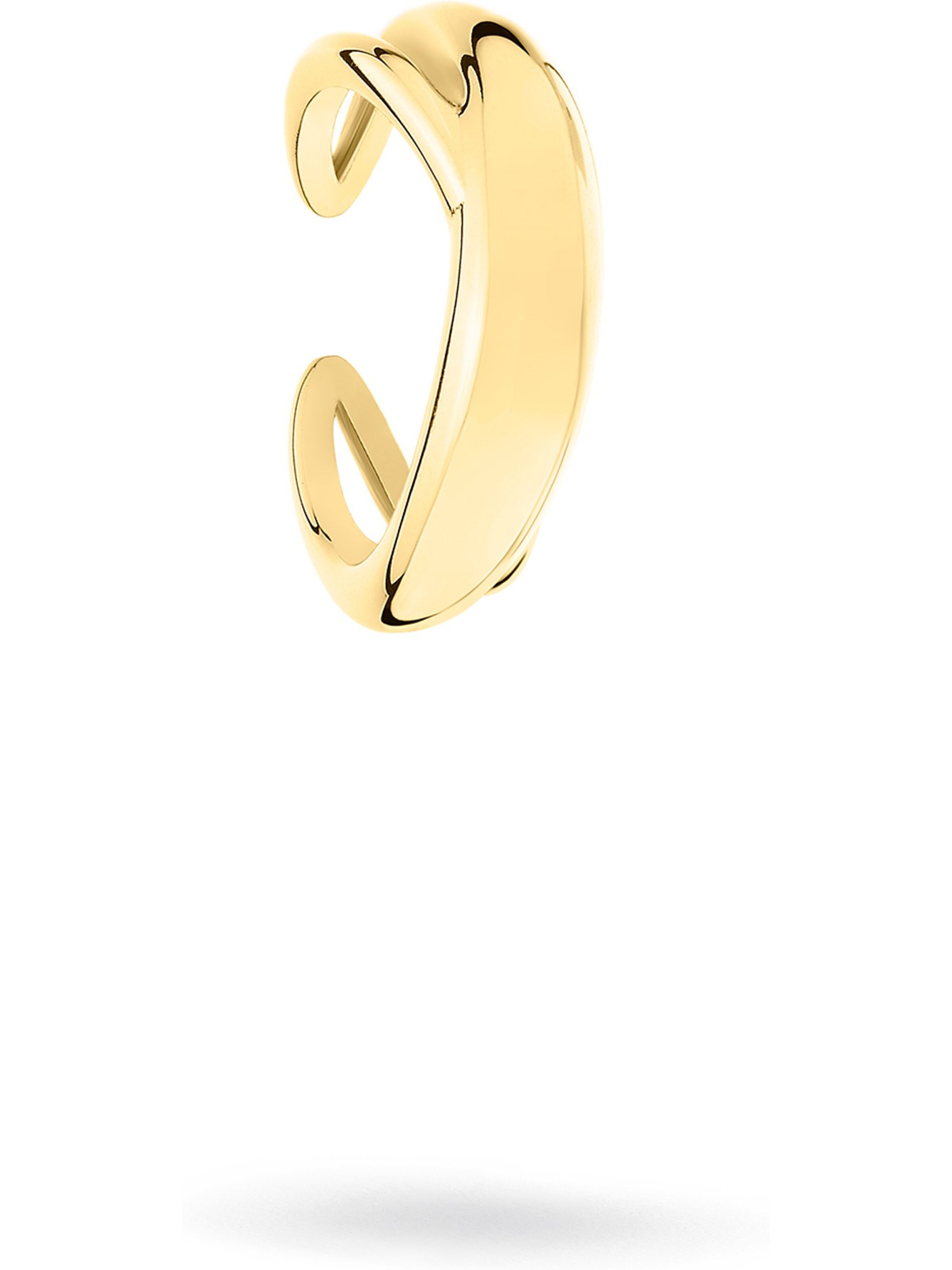 Liebeskind Berlin Earrings in Yellow: front