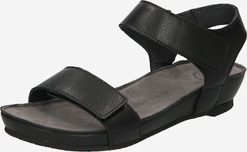 Ca'Shott Sandals in Black: front