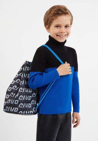 Gulliver Rollkragenpullover in Blau