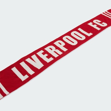 Sciarpa sportiva 'Liverpool' di ADIDAS PERFORMANCE in rosso