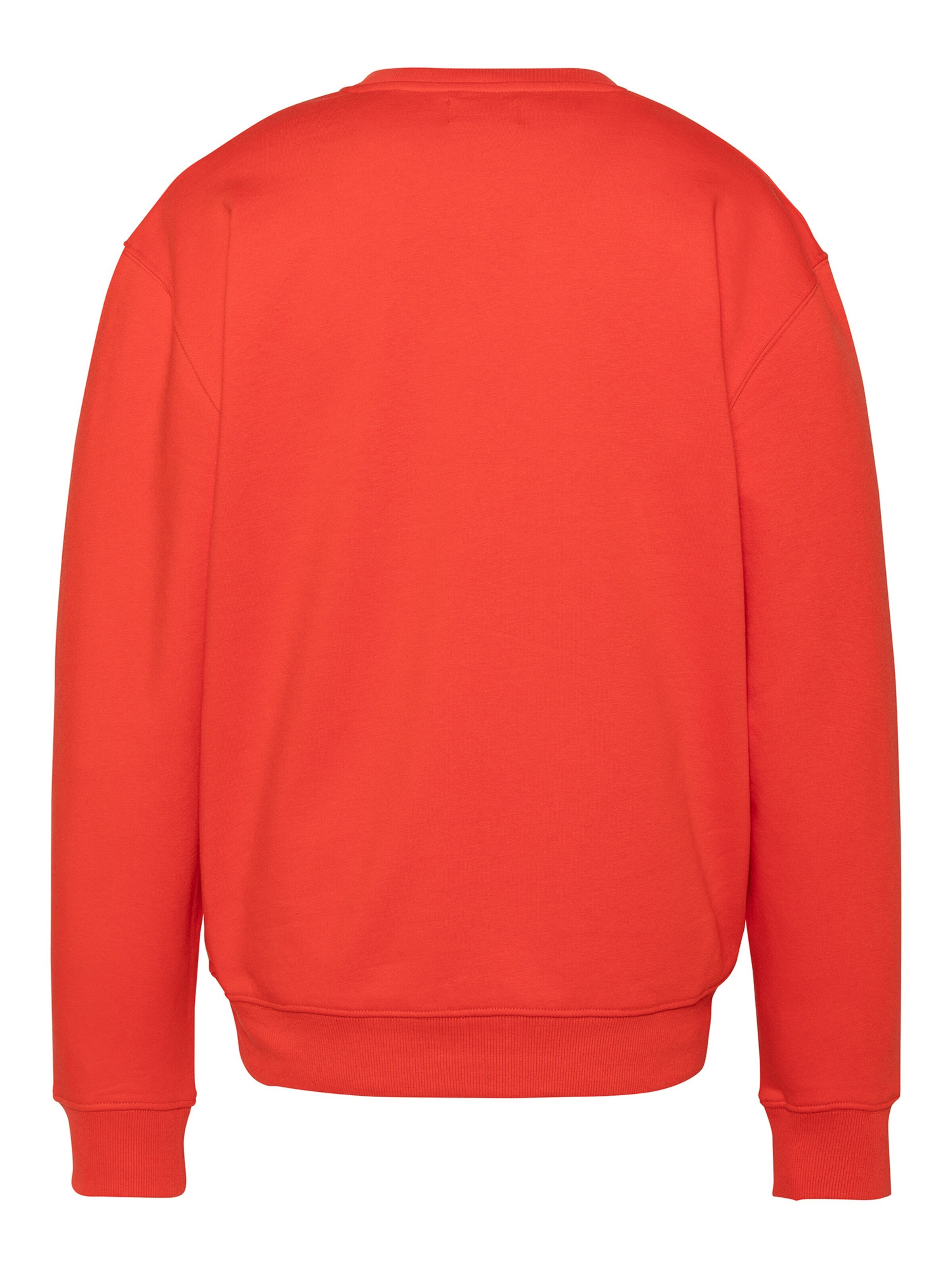 Schott NYC Sweatshirt in Orange