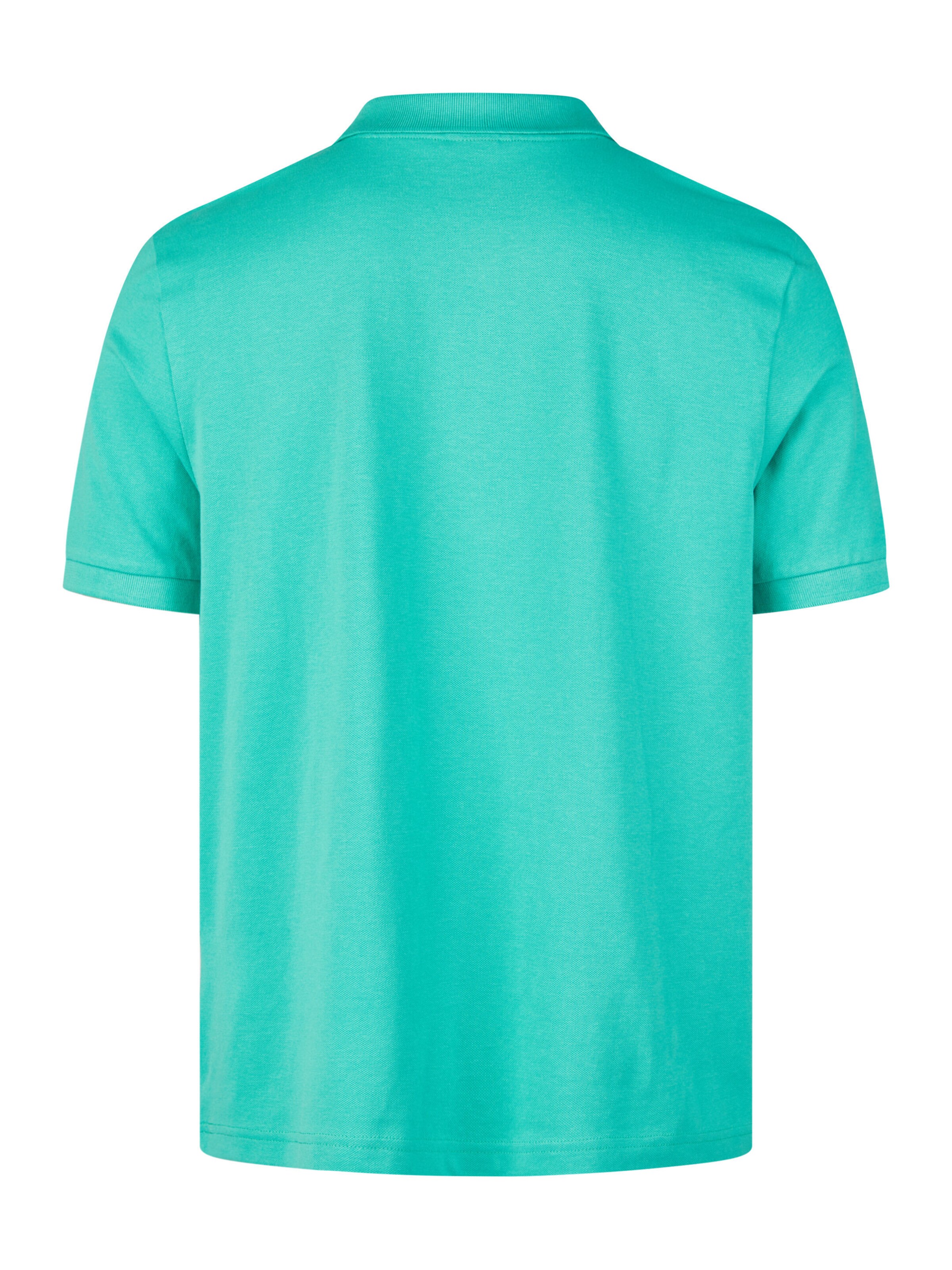 HECHTER PARIS Shirt in Green