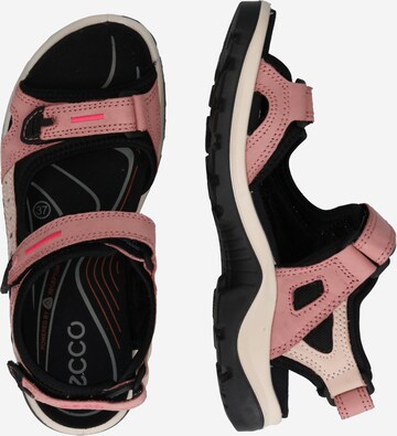 ECCO Pohodni sandali 'Offroad' | roza barva