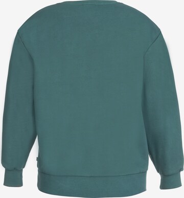 Le Temps Des Cerises Sweatshirt 'MOA' in Green