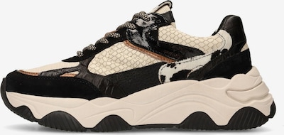 SACHA Sneaker in schwarz / offwhite, Produktansicht