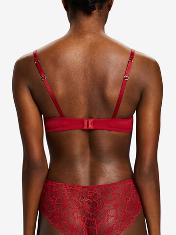 ESPRIT - Push-up Sujetador en rojo