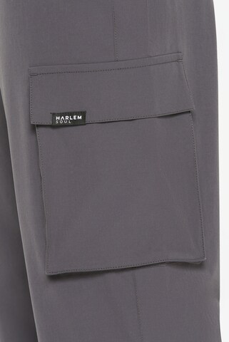 Harlem Soul Regular Cargo Pants in Grey