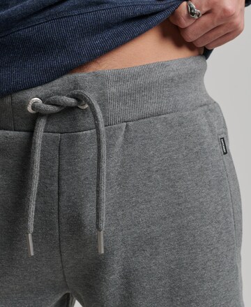 Superdry Regular Pants in Grey