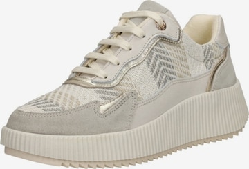 Baskets basses 'Chavi' Palpa en beige : devant