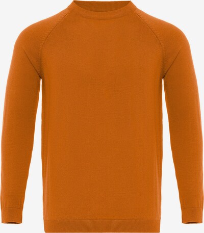 Antioch Pull-over en orange, Vue avec produit