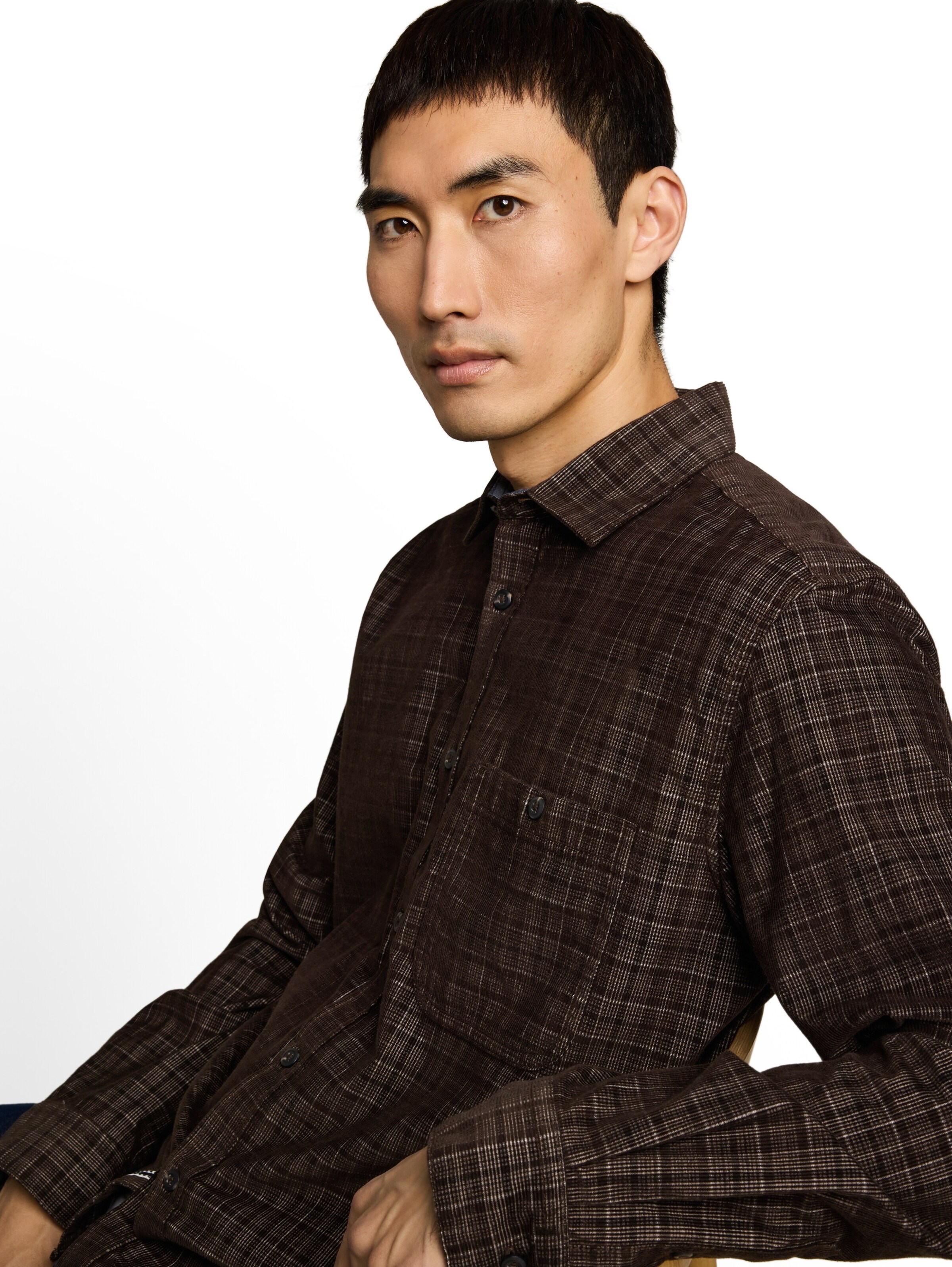 TOM TAILOR Regular fit Button Up Shirt in Brown