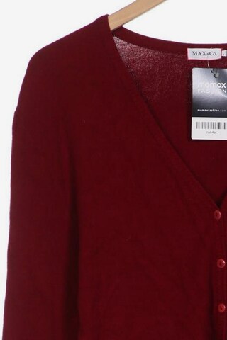 MAX&Co. Sweater & Cardigan in L in Red