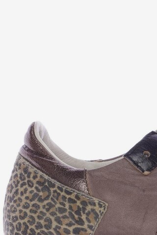 Philippe Model Sneakers & Trainers in 39 in Brown