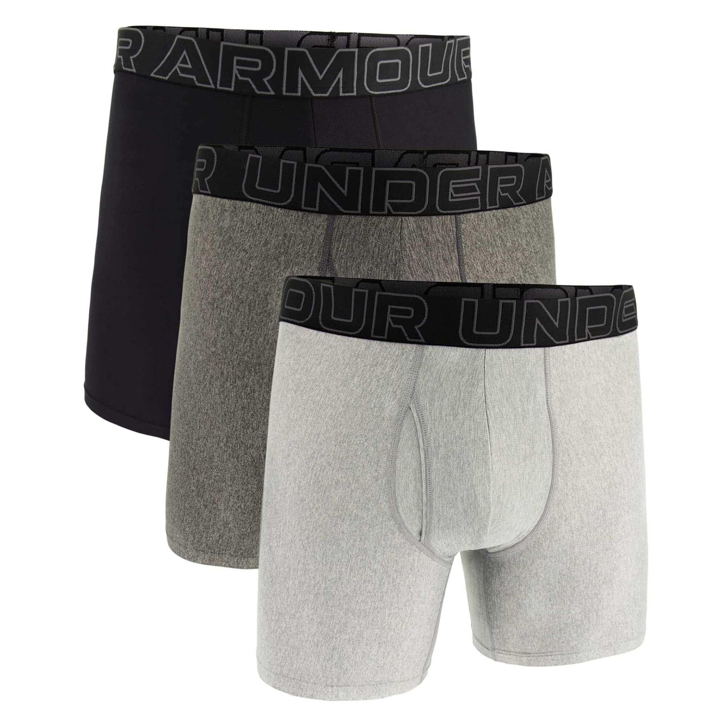 UNDER ARMOUR Sports underpants in Grey: front