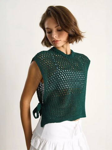 Pull-over Bianco Lucci en vert