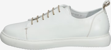 Everybody Sneakers in White: front