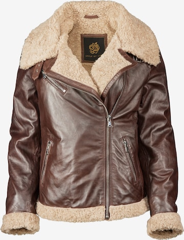 Apple of Eden Between-Season Jacket in Brown: front