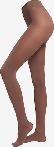 CALZEDONIA Fine Tights in Brown: front