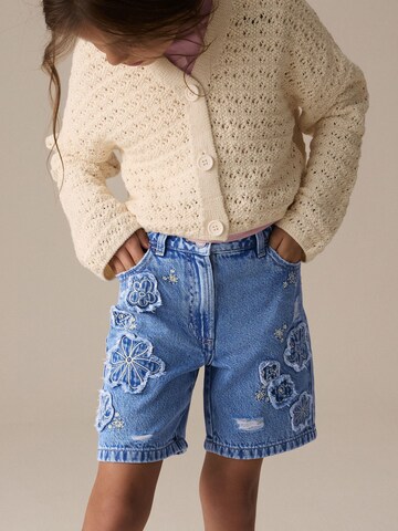regular Pantaloni di Next in blu: frontale