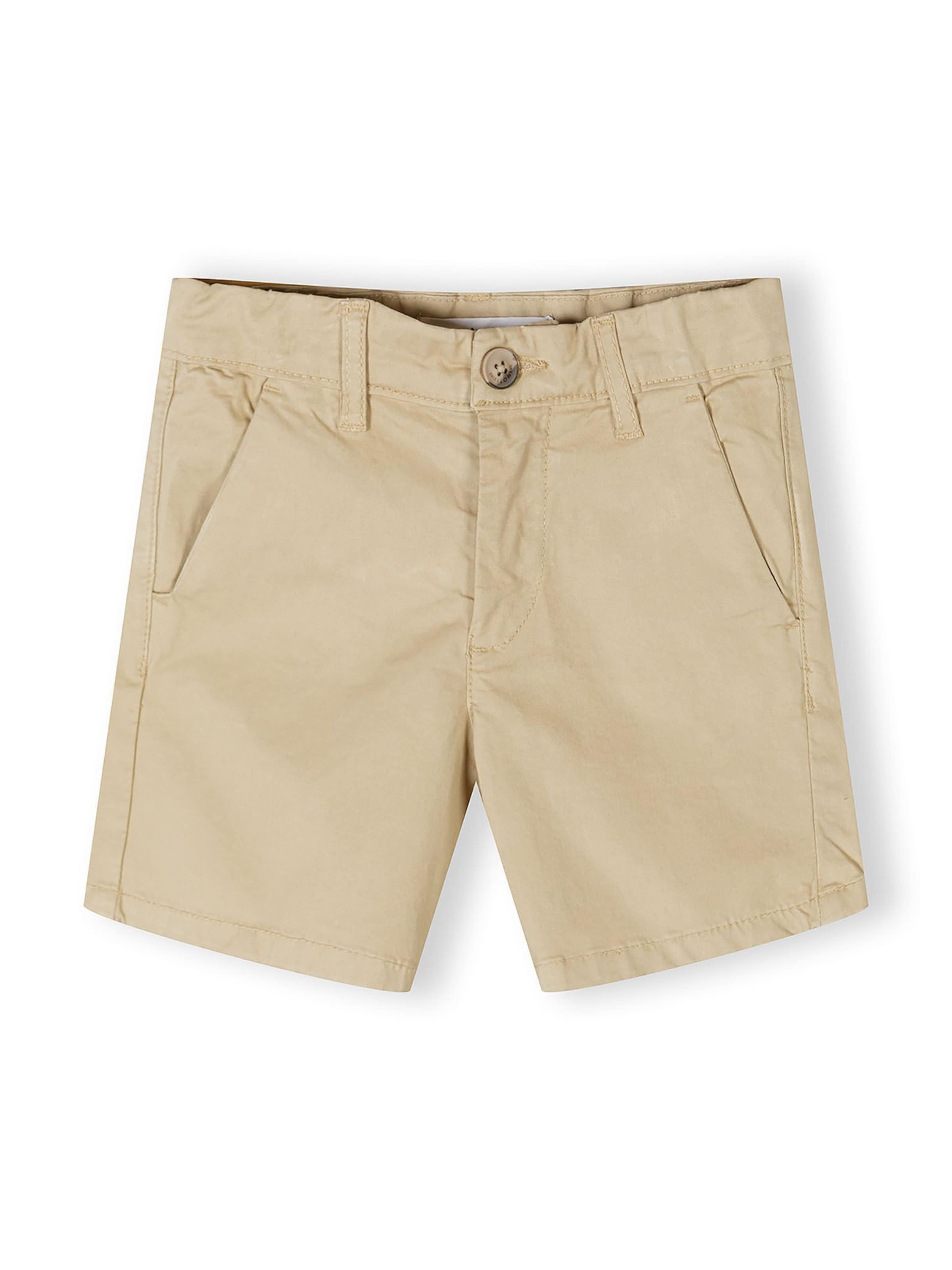 Regular Pantalon MINOTI en gris