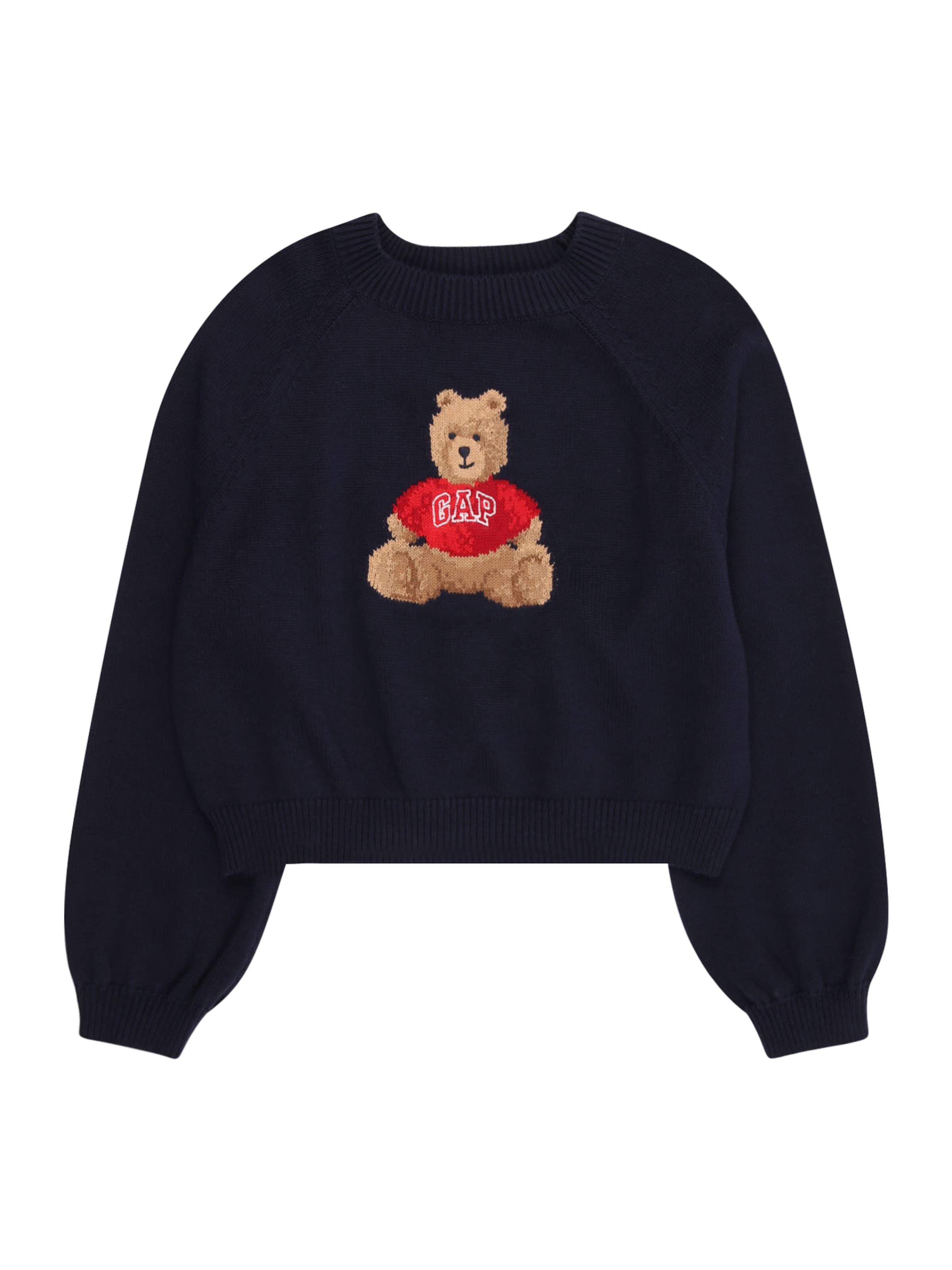 GAP Kampsun 'BRANNAN', värv sinine: eest vaates