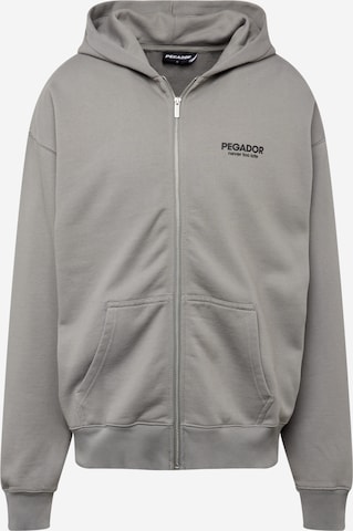 Pegador Zip-Up Hoodie 'ALCHAR' in Grey: front