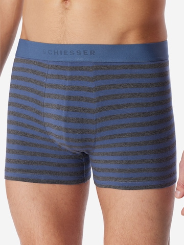 SCHIESSER Boxer shorts ' 95/5 Multi ' in Blue: front