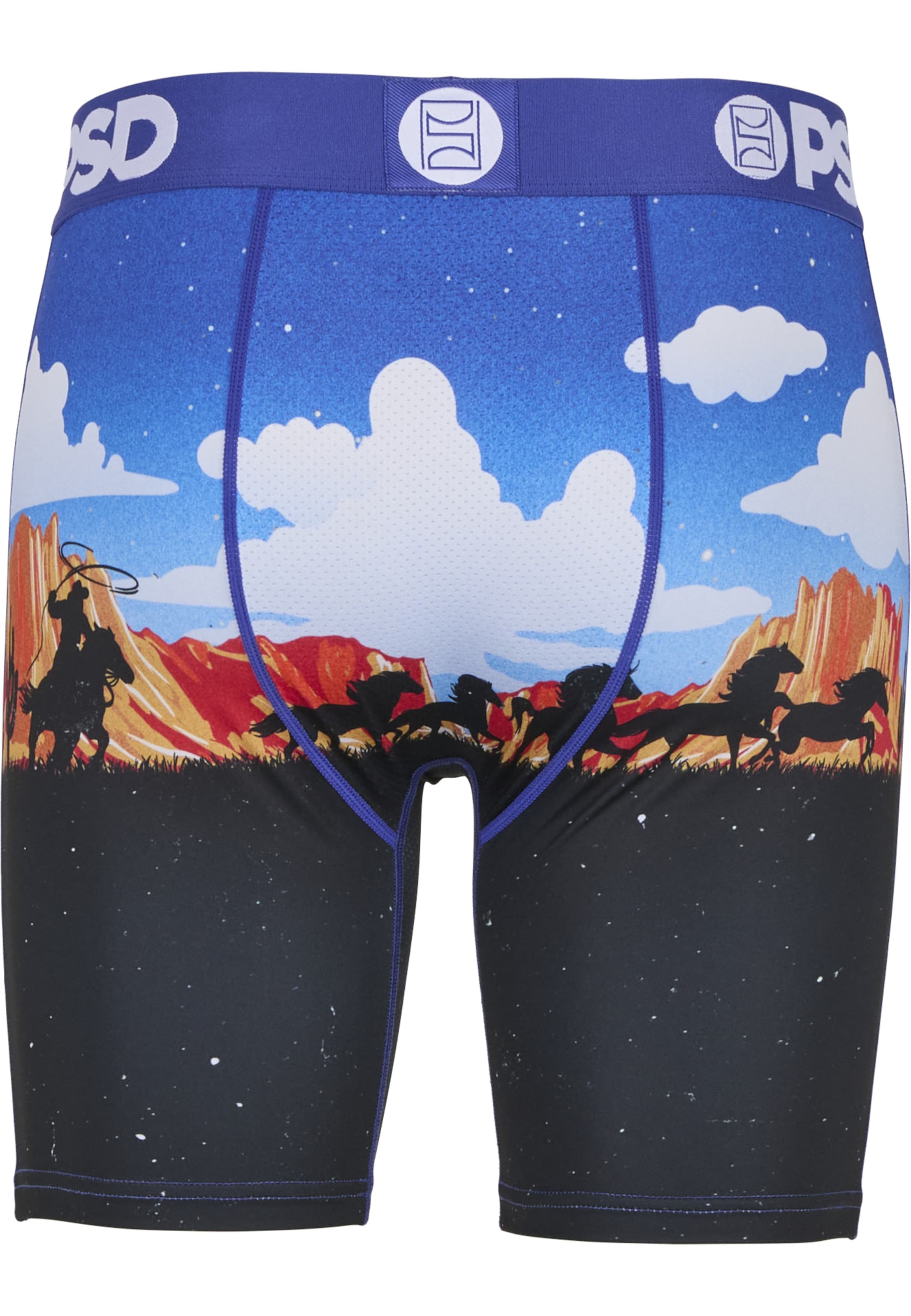 Boxers 'ACE HIGH' PSD en mélange de couleurs