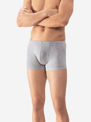 Mey Boxer shorts 'Casual Cotton' in Grey