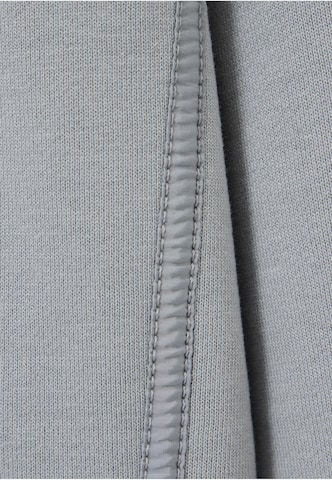 Weekend Offender Sweatshirt 'Sidi' in Grau