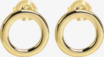 Akzent Earrings '"Charlotte" aus 925 Sterlingsilber, rhodiniert, langlebig' in Gold: front