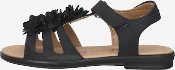 RICOSTA Sandals 'Aurora' in Black