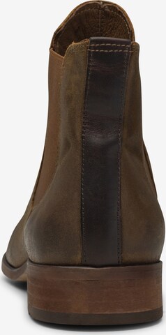 Chelsea Boots Shoe The Bear en marron