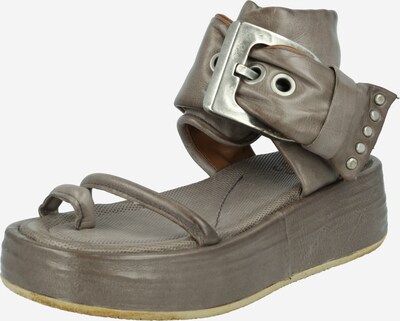 A.S.98 T-bar sandals 'Festa' in Taupe, Item view