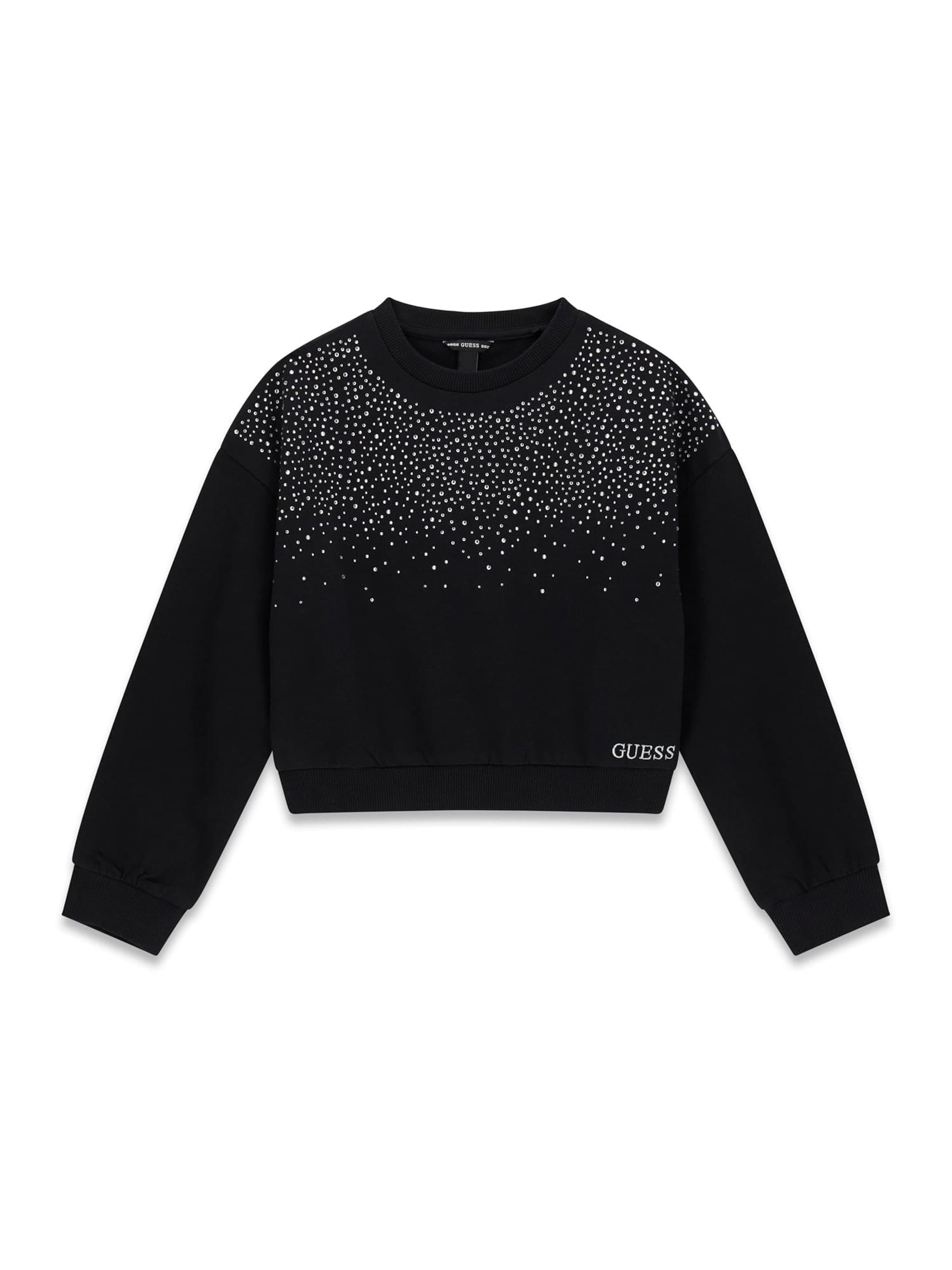 GUESS Sweatshirt in Black: front