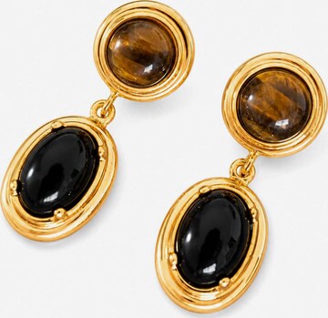 RteRmeNaušnice 'Spectral Tiger Eye & Obsidian Drop Earrings' - zlatna boja: prednji dio