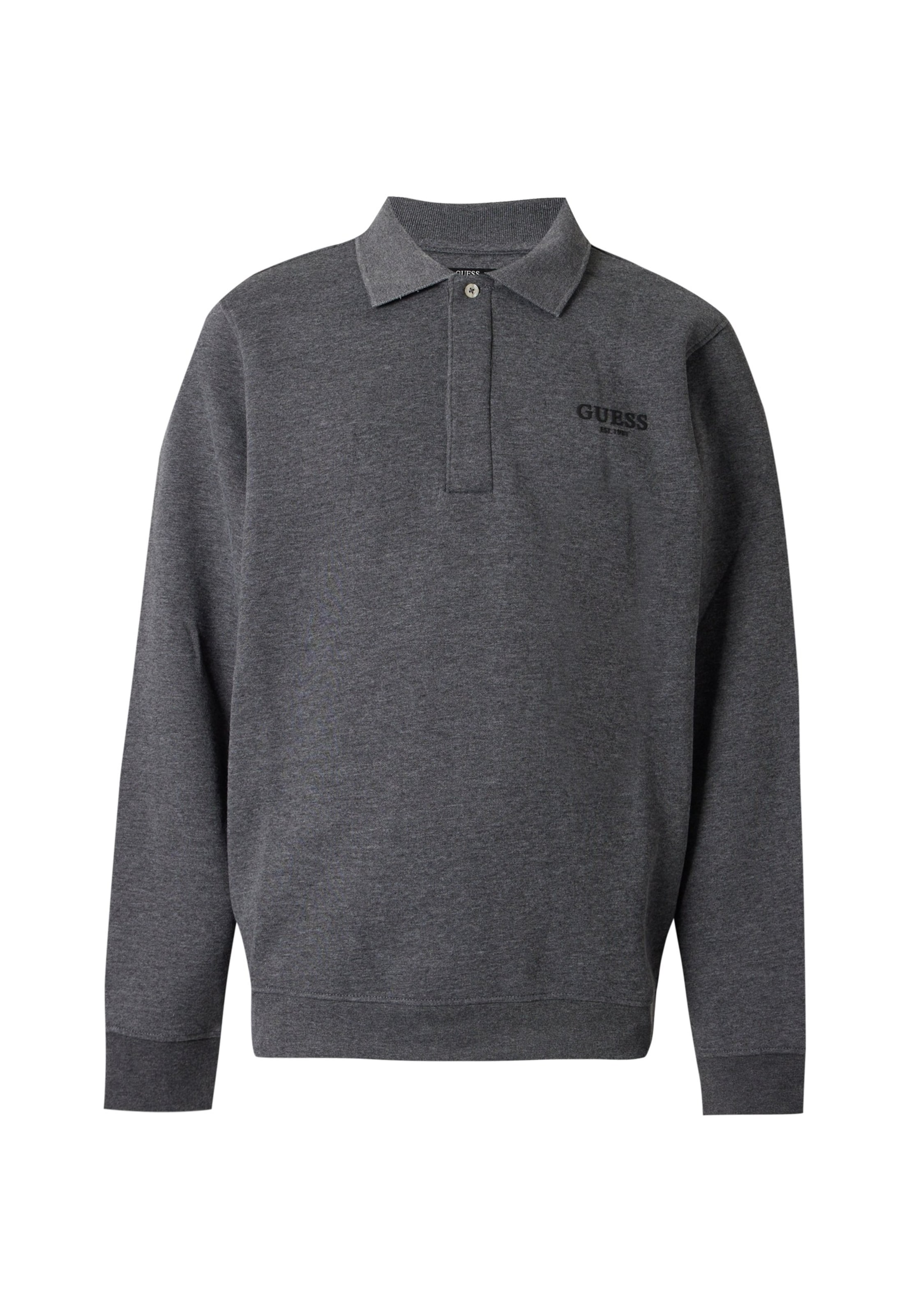 Felpa di GUESS in grigio: frontale