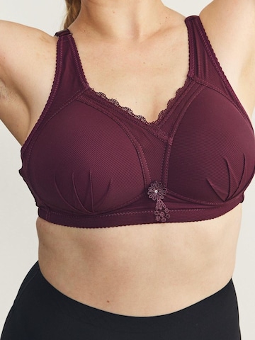 Bustier Soutien-gorge C&City en violet