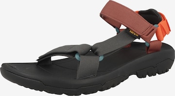 Sandales TEVA en mélange de couleurs : devant