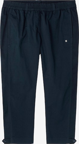 SHEEGO Regular Pleat-Front Pants in Blue: front