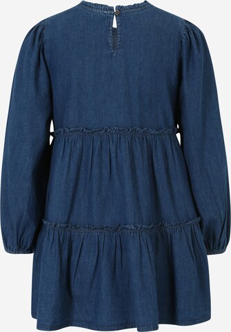 Dorothy Perkins Petite Kleid in Blau