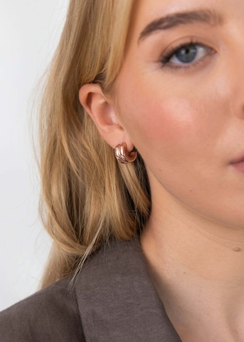 PURELEI Earrings 'Flow' in Gold: front