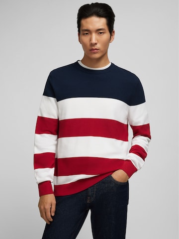 HECHTER PARIS Sweater in Mixed colors: front