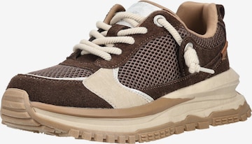Sneaker bassa di Blowfish Malibu in marrone: frontale