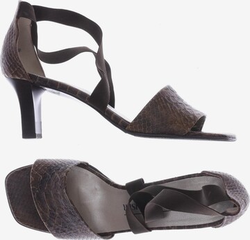 PETER KAISER Sandals & High-Heeled Sandals in 38,5 in Brown: front