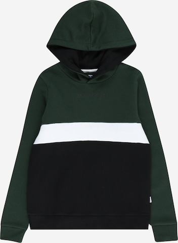 Jack & Jones Junior Sweatshirt 'EREID' in Groen: voorkant