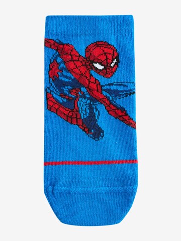 Chaussettes Next en mélange de couleurs