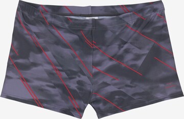 VENICE BEACH Swim Trunks in Grey: front