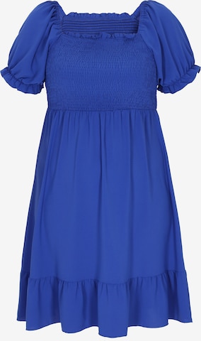 zils SANIKA Kleita: no priekšpuses